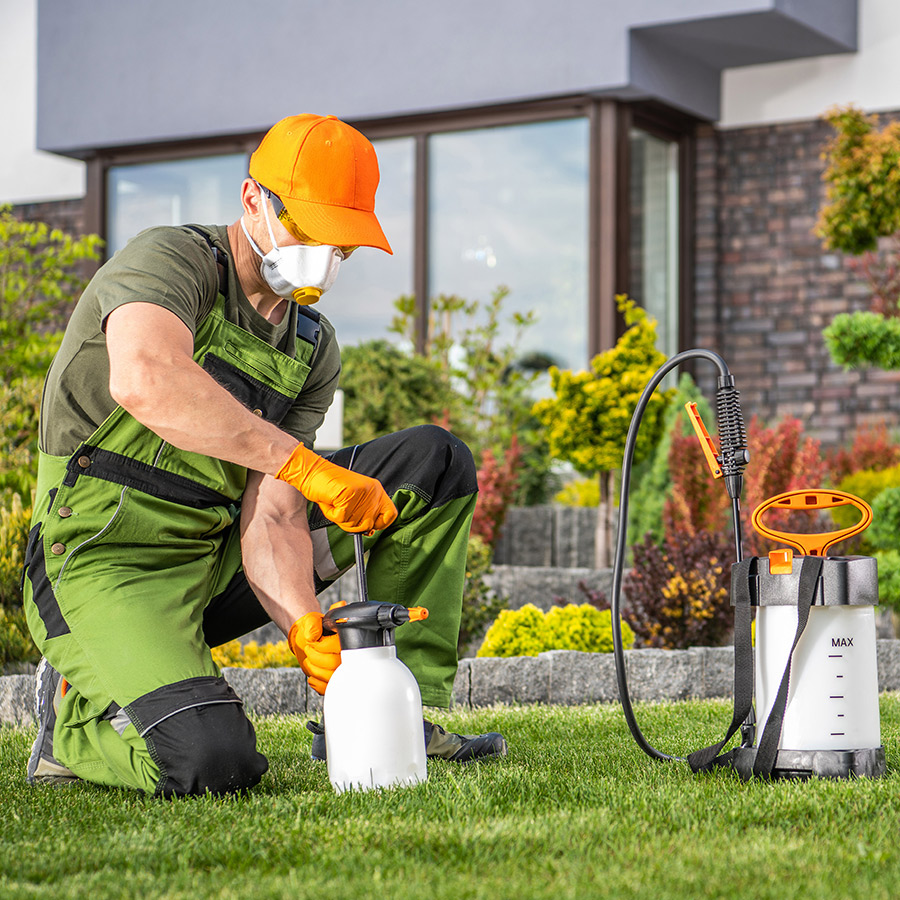 Green Pest Control Surrey BC